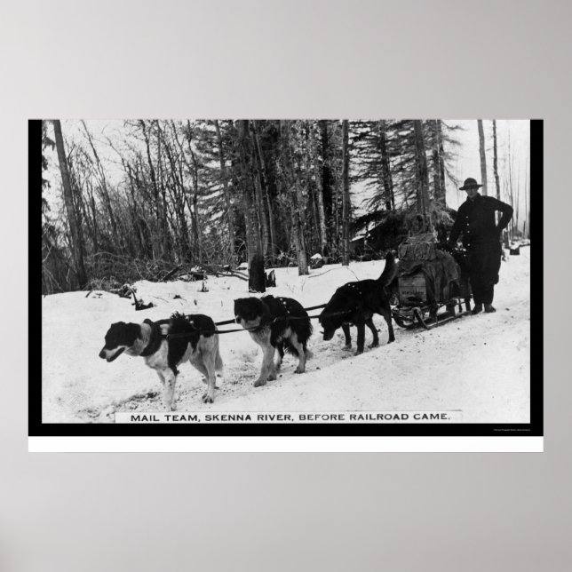 Leverans av e-post från en Hund 1905 Poster (Framsidan)