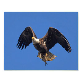 Leverans av varor fototryck