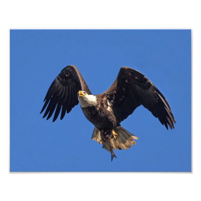 Leverans av varor fototryck (Framsidan)