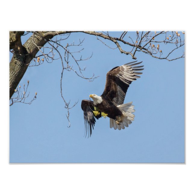 Leveranser av Byggnad i örn Fototryck (Framsidan)