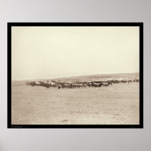 Leveransvagnar och förpackningsmoduler SD 1887 Poster