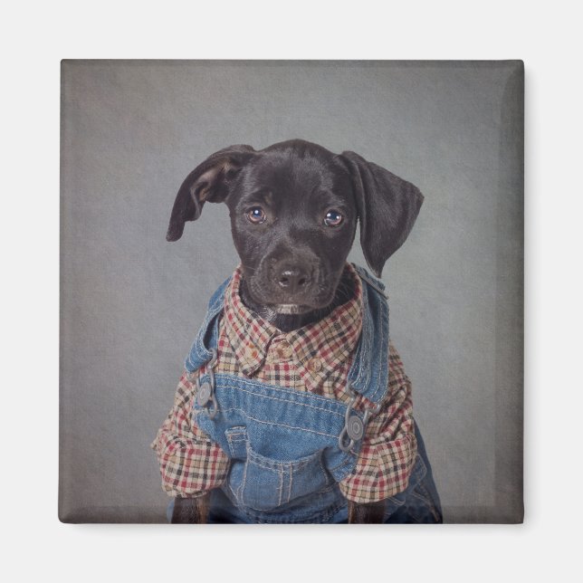 Levi Magnet (Framsidan)