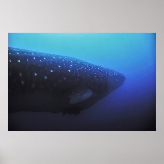 Leviathan Poster (Framsidan)