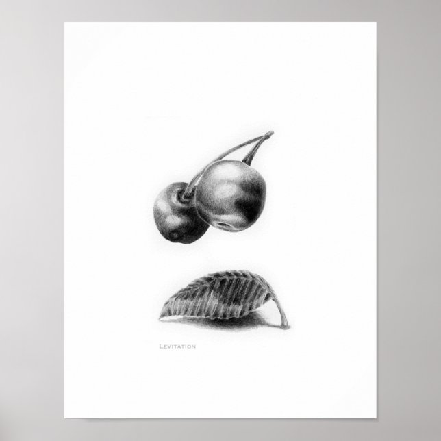 Levning Poster (Framsidan)