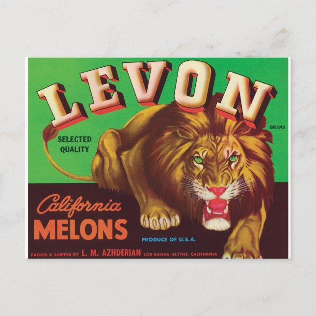 Levon Melons Tiger Los Banos Blythe California Art Vykort (Framsida)