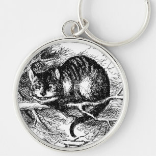 Lewis Carroll Cheshire katt Rund Silverfärgad Nyckelring