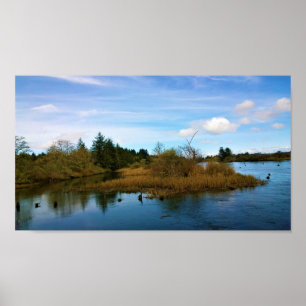 Lewis & Clark River, ELLER Poster