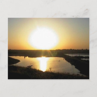 Lewis Eaton Trail Vykort