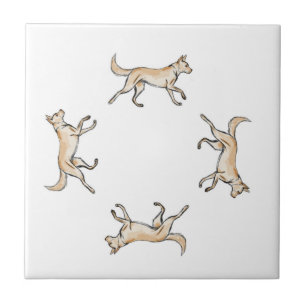 Lexi Trot   Kakelplatta