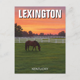 Lexington Kentucky Postcard Horse Sunset Vykort