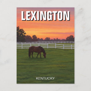 Lexington Kentucky Postcard Horse Sunset Vykort