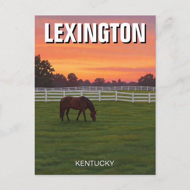 Lexington Kentucky Postcard Horse Sunset Vykort (Framsida)