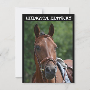 LEXINGTON KENTUCKY TÄVLING HORSE-vykort Vykort