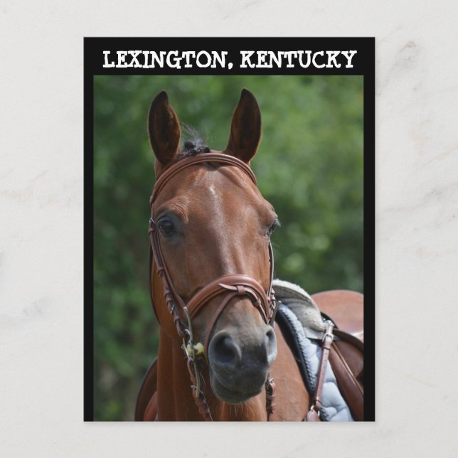 LEXINGTON KENTUCKY TÄVLING HORSE-vykort Vykort (Framsida)