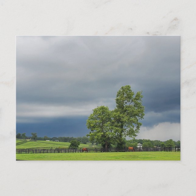 Lexington, Kentucky Vykort (Framsida)