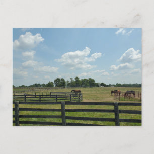 Lexington, Kentucky Vykort