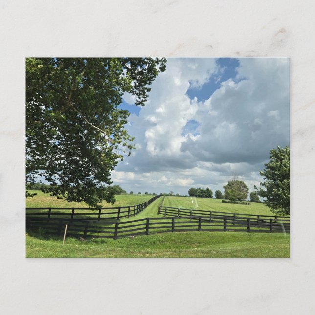 Lexington, Kentucky Vykort (Framsida)