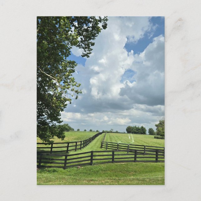 Lexington, Kentucky Vykort (Framsida)