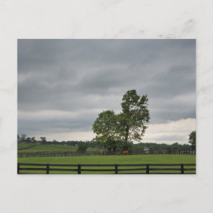 Lexington, KY Vykort