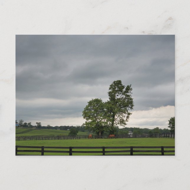 Lexington, KY Vykort (Framsida)