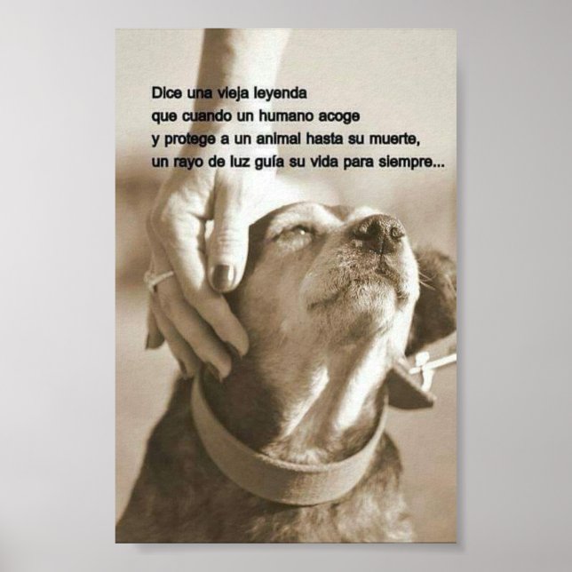 Leyenda sobre adoptar animales poster (Framsidan)