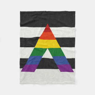 LGBT-bundsförvantflagga Fleecefilt