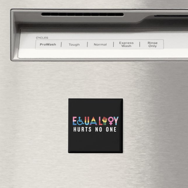 Lgbt-jämlikhet skadar ingen Pride Mänskliga rättig Magnet (In Situ (Dishwasher))