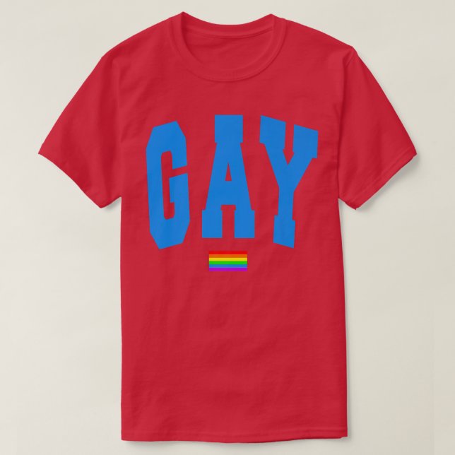 Lgbtq Pride Graphic Rainbow Flag Human Rights Wome T Shirt (Design framsida)
