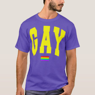 Lgbtq Pride Graphic Rainbow Flagga Human Högers Wo T Shirt