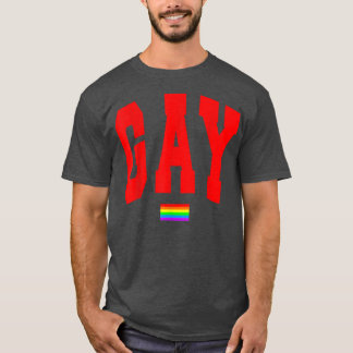Lgbtq Pride Graphic Rainbow Flagga Human Högers Wo T Shirt