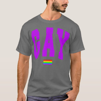 Lgbtq Pride Graphic Rainbow Flagga Human Högers Wo T Shirt