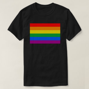 LGBTQ+ Regnbåge Flagga T Shirt