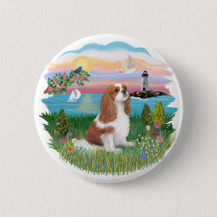 Lghthouse-Cavalier (BL-F) Knapp