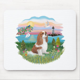 Lghthouse-Cavalier (BL-F) Musmatta