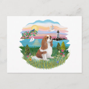 Lghthouse-Cavalier (BL-F) Vykort