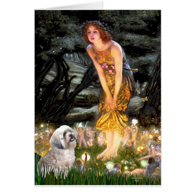 Lhasa Apso 10 - MidEve Hälsningskort (Framsidan)