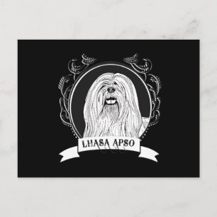 LHASA APSO (2) VYKORT
