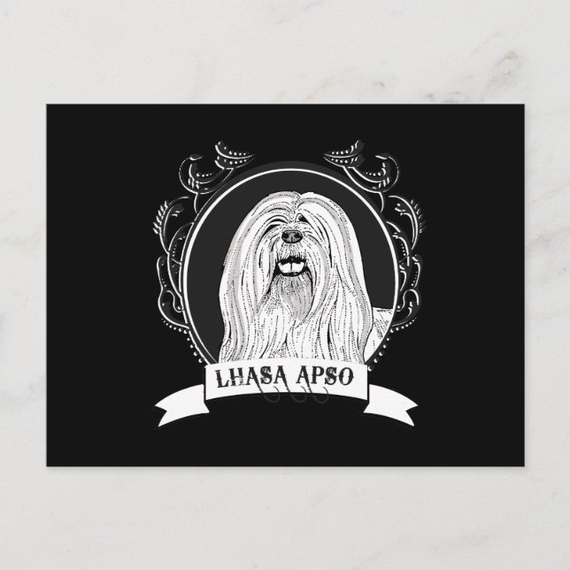 LHASA APSO (2) VYKORT (Framsida)