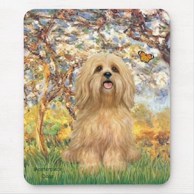 Lhasa Apso 9 - Vår Musmatta (Framsidan)