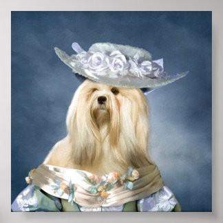 Lhasa Apso Baroness Skriv ut Poster