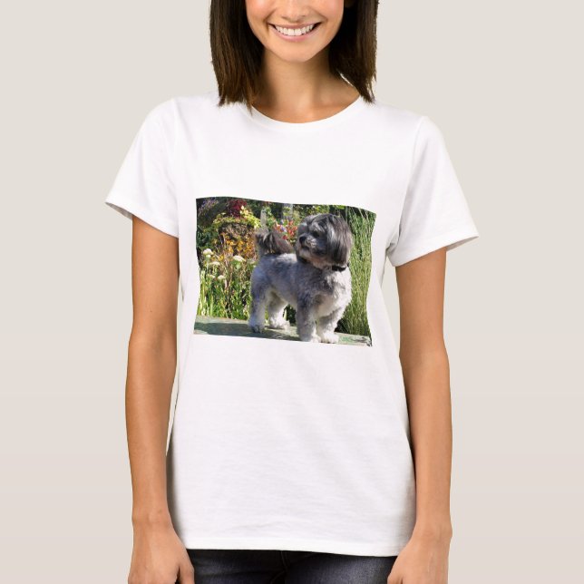 Lhasa Apso borggård 1 Tee (Framsida)