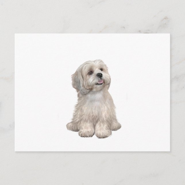 Lhasa Apso (C) - Ljust guld Vykort (Framsida)