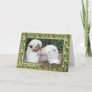 Lhasa Apso Dog Blank Christmas Card Helgkort