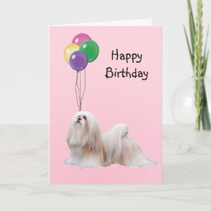 Lhasa Apso, födelsedagballonger Kort