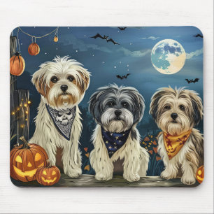 Lhasa Apso Halloween Spooky Musmatta