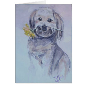 Lhasa Apso Hälsningskort