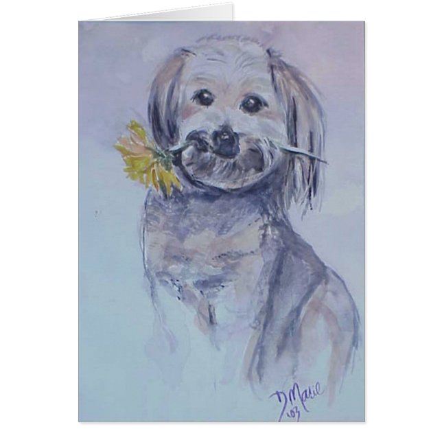 Lhasa Apso Hälsningskort (Framsidan)