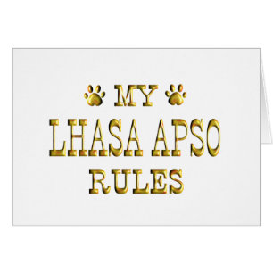 Lhasa Apso härskar guld Hälsningskort