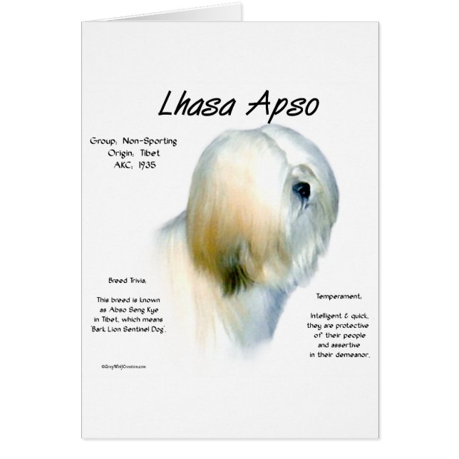 Lhasa Apso-historikdesign Hälsningskort (Framsidan)