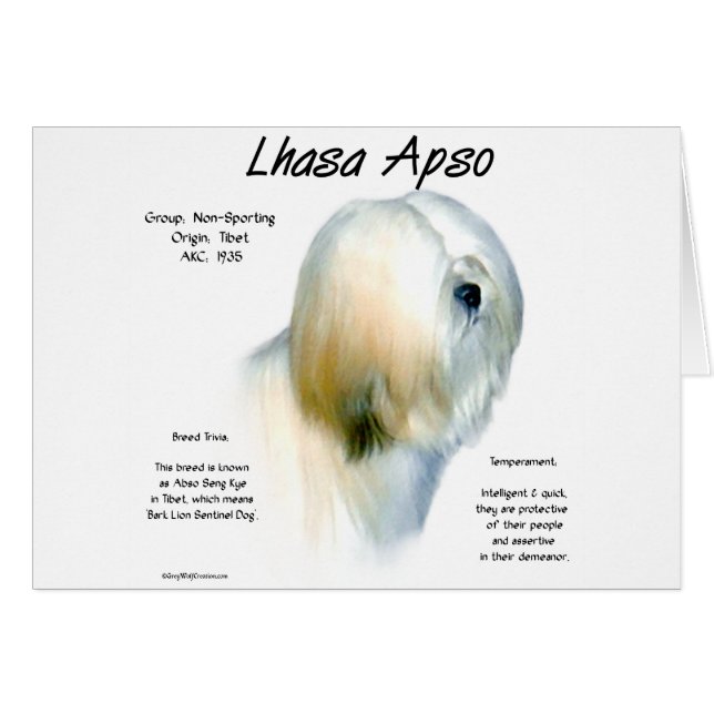 Lhasa Apso-historikdesign Hälsningskort (Framsidan Horizontal)